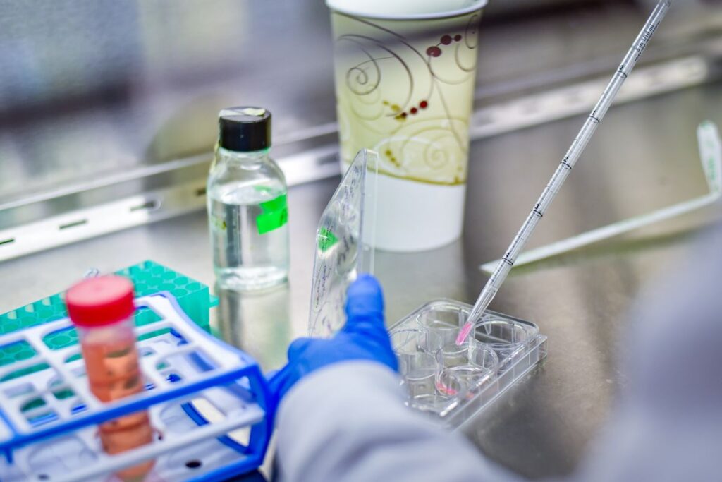 enzymes and proteins being studied by researchers