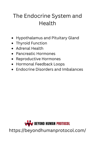 The Endocrine System and Health with Bullet Points