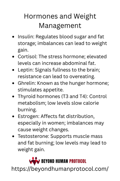 Hormones and Weight Management with Bullet Points