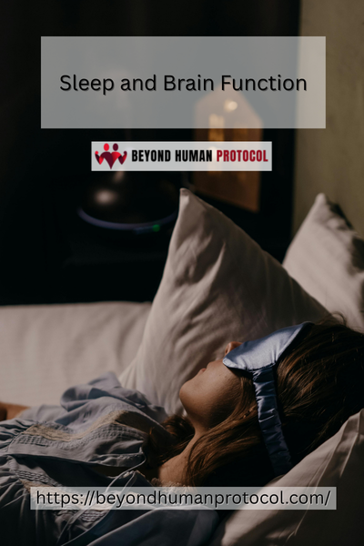 Sleep and Brain Function